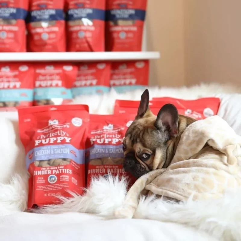 STELLA & CHEWY'S CHICKEN AND SALMON PUPPY PATTIES FREEZE DRIED RAW 5.5 oz
