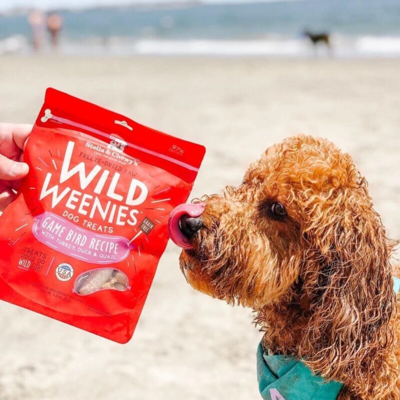 STELLA & CHEWY’S WILD WEENIES GAME BIRD RECIPE FREEZE-DRIED RAW DOG TREATS 3.25 oz