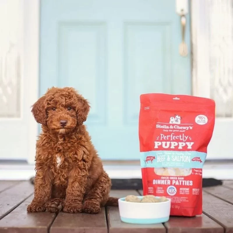 STELLA & CHEWY'S  BEEF & SALMON PUPPY PATTIES FREEZE DRIED RAW 5.5 oz