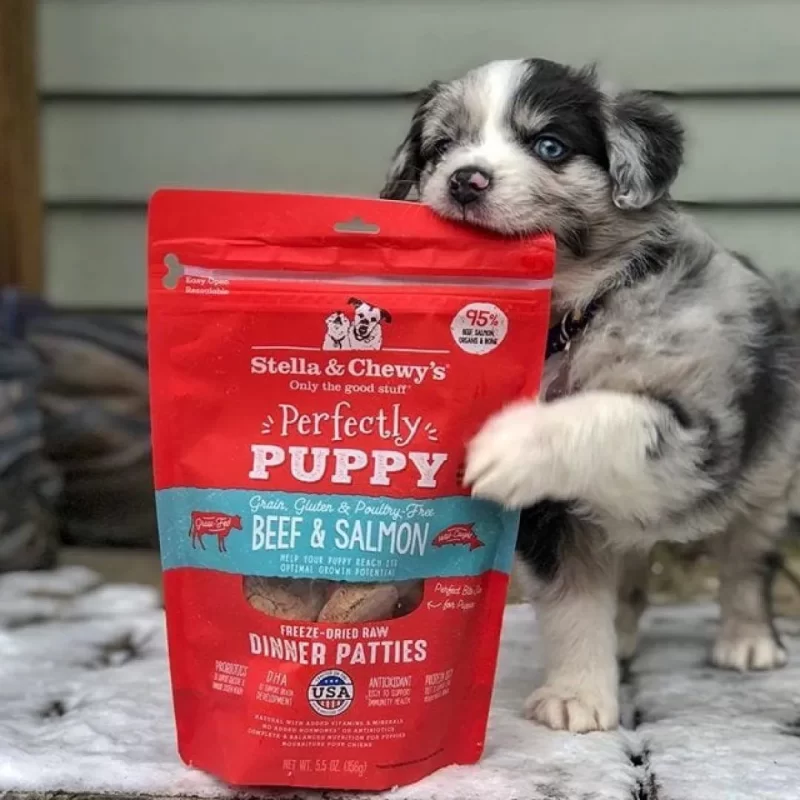 STELLA & CHEWY'S  BEEF & SALMON PUPPY PATTIES FREEZE DRIED RAW 5.5 oz