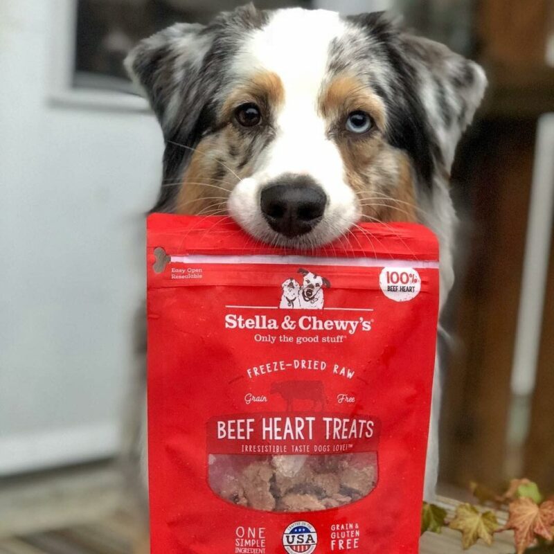 STELLA & CHEWY'S BEEF HEART TREATS FREEZE DRIED RAW 3.0 oz