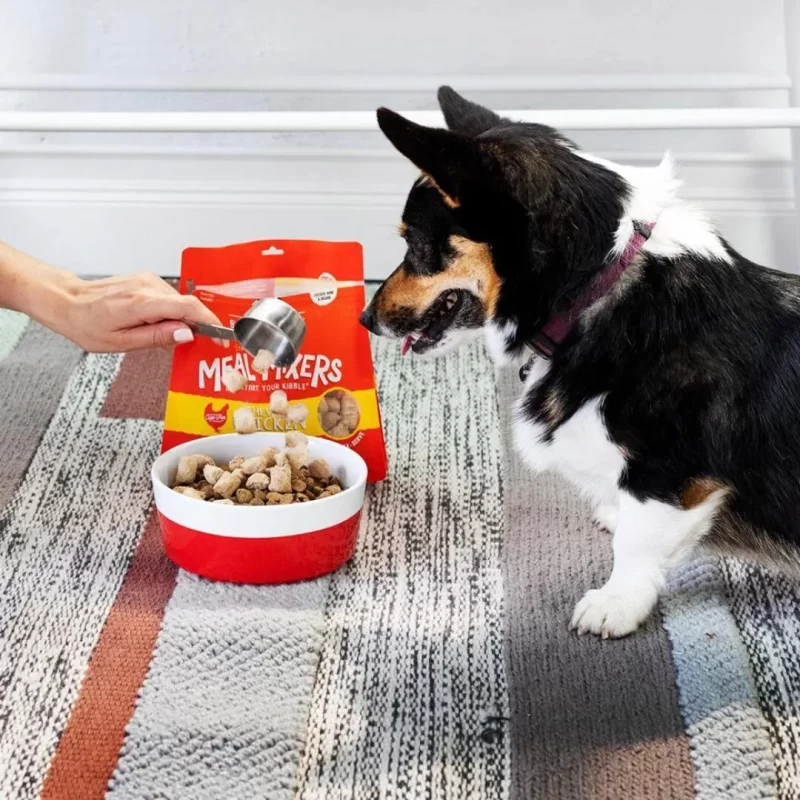 STELLA & CHEWY'S FREEZE DRIED RAW CHICKEN MEAL MIXERS GRAIN FREE DOG FOOD 3.5 oz