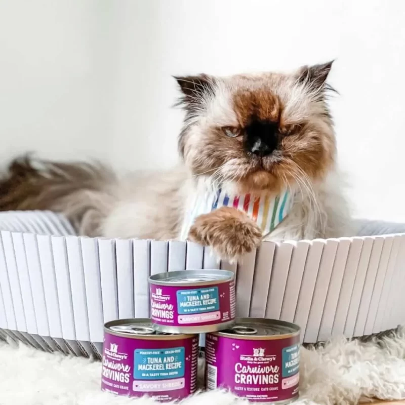 STELLA & CHEWY'S SAVORY SHREDS TUNA & MACKEREL WET FOOD FOR CATS (24 pack)