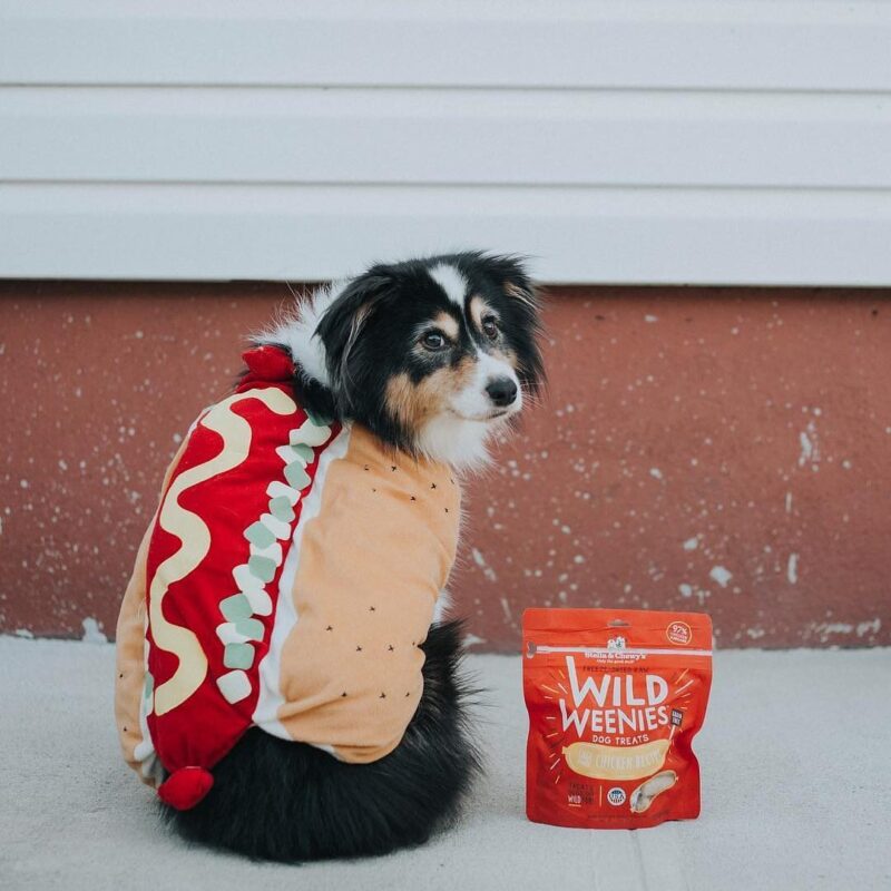 STELLA & CHEWY'S WILD WEENIES CAGE FREE CHICKEN RECIPE FREEZE DRIED RAW DOG TREATS 3.25 oz