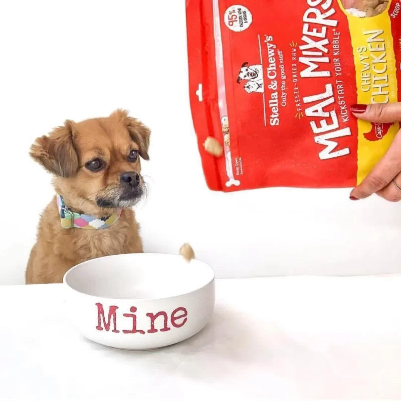 STELLA & CHEWY'S FREEZE DRIED RAW CHICKEN MEAL MIXERS GRAIN FREE DOG FOOD 3.5 oz