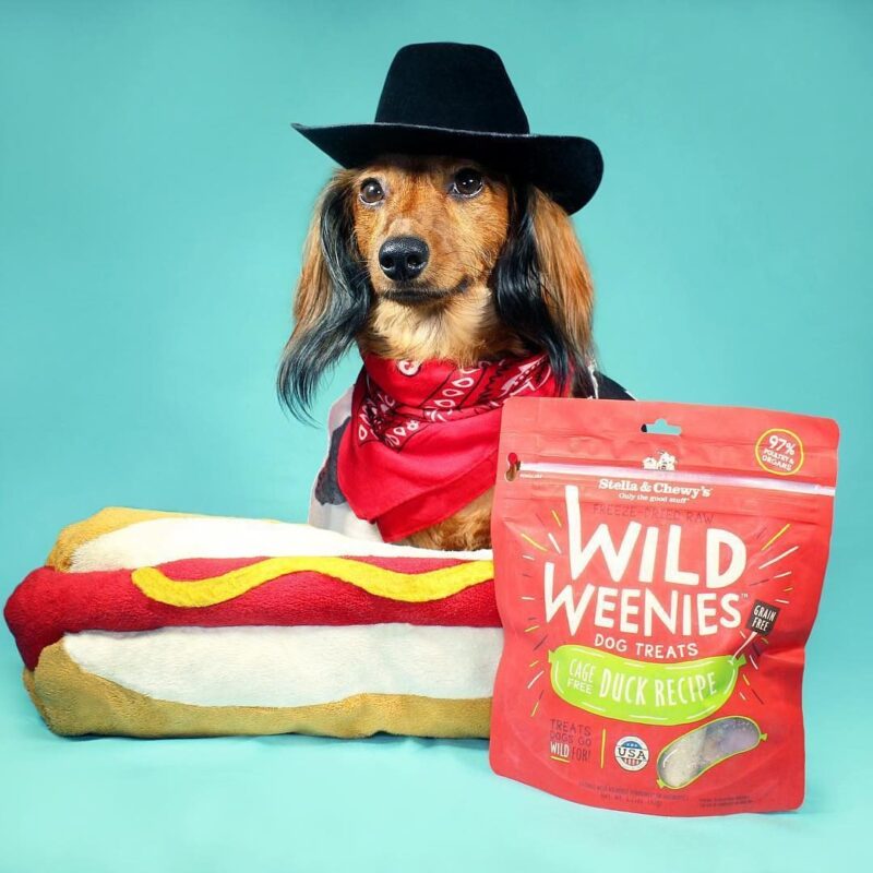 STELLA & CHEWY'S WILD WEENIES CAGE FREE DUCK RECIPE FREEZE DRIED RAW DOG TREATS 3.25 oz