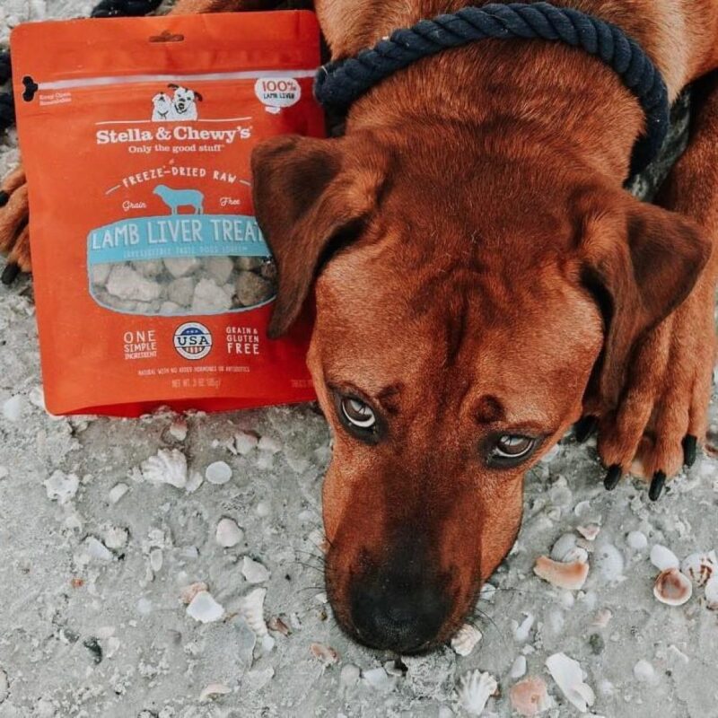 STELLA & CHEWY'S LAMB LIVER TREATS FREEZE DRIED RAW 3.0 oz