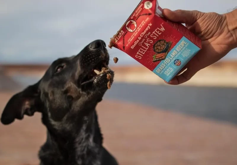 STELLA & CHEWY'S STELLA'S STEW GRASS FED LAMB RECIPE FOOD TOPPER FOR DOGS