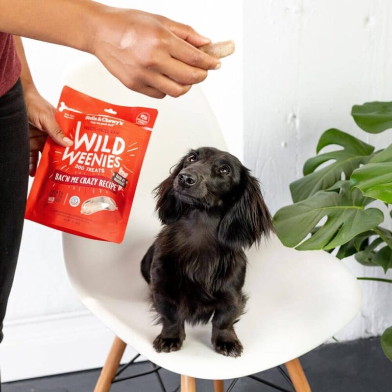 STELLA & CHEWY’S WILD WEENIES BAC'N ME CRAZY RECIPE FREEZE DRIED RAW DOG TREATS 3.25 oz