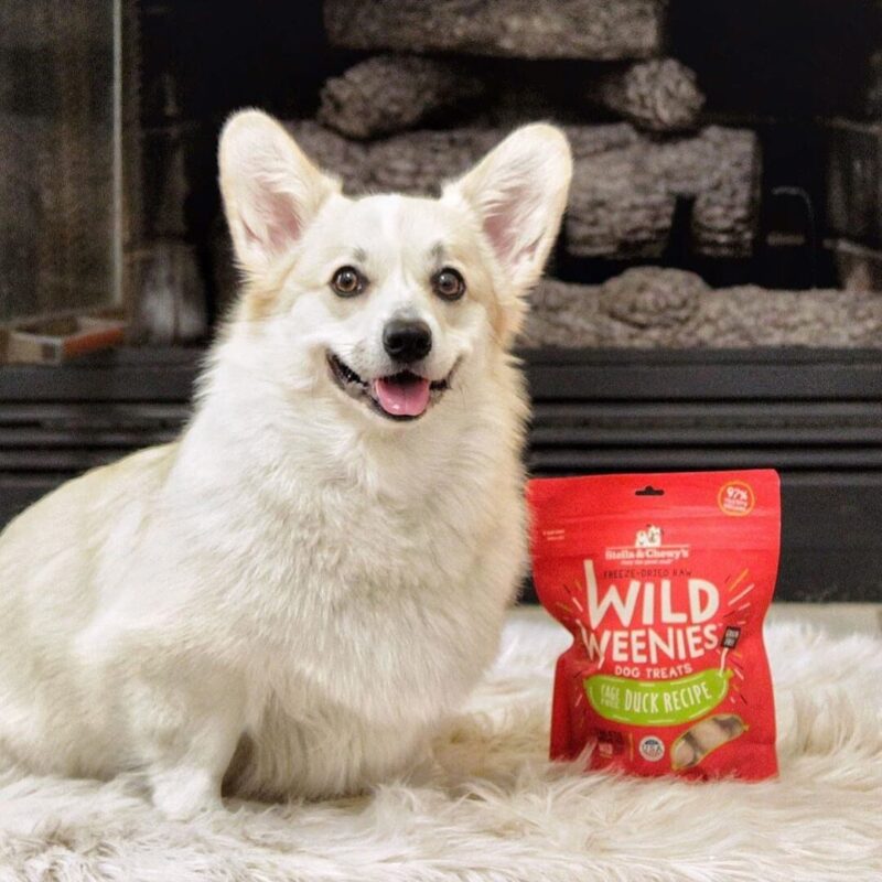 STELLA & CHEWY'S WILD WEENIES CAGE FREE DUCK RECIPE FREEZE DRIED RAW DOG TREATS 3.25 oz