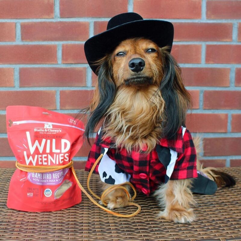 STELLA & CHEWY’S WILD WEENIES GAME BIRD RECIPE FREEZE-DRIED RAW DOG TREATS 3.25 oz