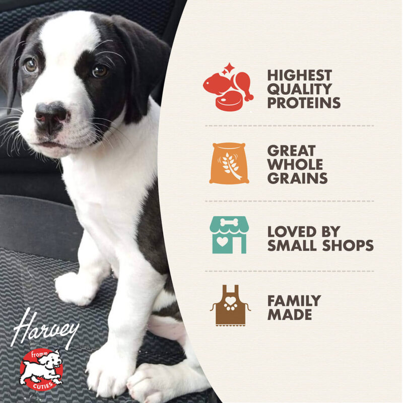 FROMM GOLD PUPPY DRY DOG FOOD