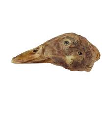 FREEZE DRIED DUCK HEAD / 18 pack
